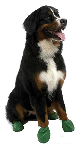 X-Large-Pawz-Durable-All-Weather-Dog-Boots-12-boots