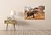 Produktbild Nature Animal Elephant Fun Bath Dust Mud Dirt Giant Wall Art Print Poster