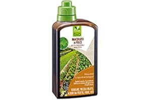 PRESTO-BIO MACERATO DI FELCE 1 LT RAFFORZA RESISTENZA ALL'AGGRESSIONE DI AGENTI ESTERNI PRE