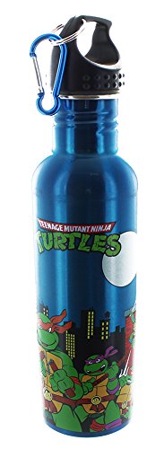 Preisvergleich Produktbild Teenage Mutant Ninja Turtles Group 25oz Aluminum Water Bottle