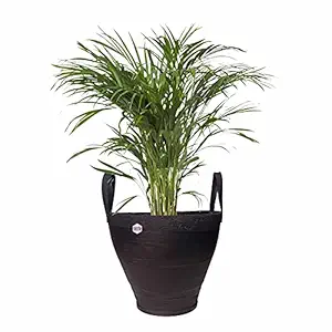 GIG Handicrafts Beutiful Recycled Tyre Planter with Handles Rubber Hanging Basket Plant Container Antique Eco-freindly Plant Holder for Decor and Gift (41 cm x 38 cm x 33 cm)