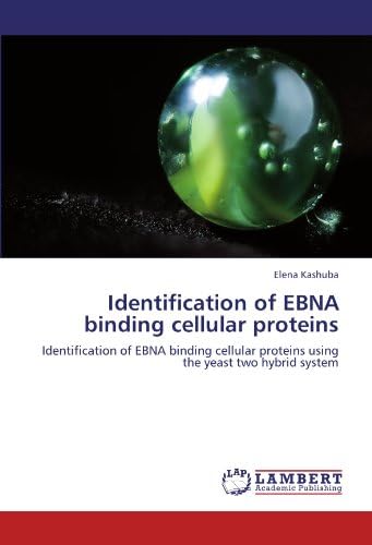 Identification of Ebna Binding Cellular Proteins
