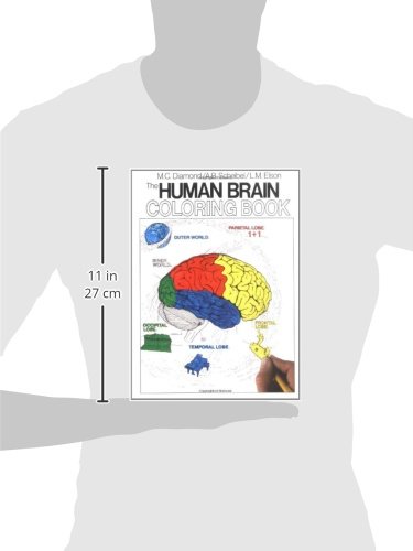 The Human Brain Coloring Book (Coloring Concepts Series)