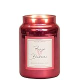 Village Candle Rain Blossom 26oz Metallics Large Candle Jar