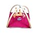 BIG BUCKET BABY PLAY GYM- PINK RS.1099.00