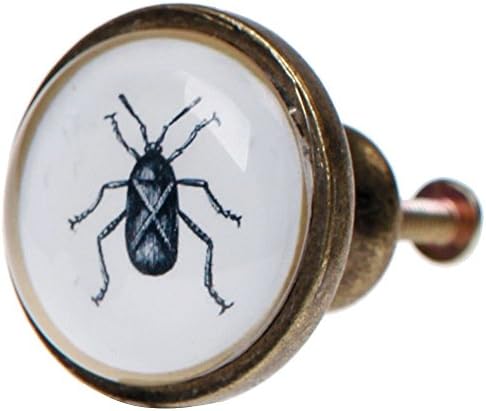 Stylish Beetle / Insect Glass Drawer Knobs / Door Pulls