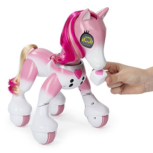 41hQUj9M7cL Zoomer - 6036997 - Pony