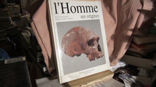 couverture de : L'homme, ses origines