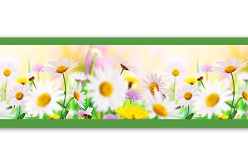 Kleisterbordüre "Daisyfield", 4-teilig 520x15cm, Tapetenbordüre, Wandbordüre, Borte, Wanddeko,Gänseblümchen, Blumen