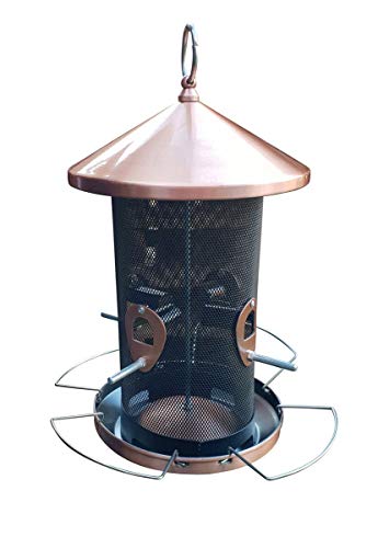 Fachhandel Plus Vogelfutterspender Zum Hangen Panorama