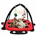 Produktbild ulooie Cute faltbar Pet Living Pop Up Cat Kitten Play Cube Hängematte Kratzbaum Beatle Zelt