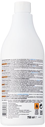 Loreal Tecni. Art Fix Design 750 ml, 1er Pack (1 x 750 ml) - 2