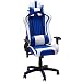 Produktbild SLYPNOS Gaming Stuhl PU-Leder Bürostuhl Racing Stuhl Drehstuhl Computer Gaming Chair, luxuriöse Sessel, hohe Rückenlehne, gerichtete, verstellbare und ergonomische Rückenlehne, Blau und Weiß