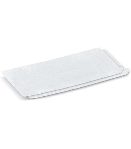2 Filtri HEPA Di Ricambio Per Aspiracenere Kärcher | Modelli AD3.200, AD4 Premium, AD3 | Filtri Antipolline E Allergeni
