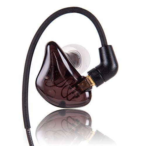 Preisvergleich Produktbild Pai Gold DR1 Dynamic Music In-Ear-Kopfhörer