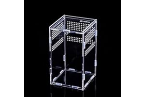 VERGILSON Transparent Reptile Terrarium Box, Insect Feeding Box, Climbing pet terrarium, acrylic terrarium, Portable Reptile Habitat for Spide, Lizard, Scorpion, Beetle, Crickets, Mantis, Geckos (15*15*25cm)