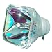 Produktbild Lutema Economy für Hitachi HCP-3020X Projektoren Lampe (Nur Birne)