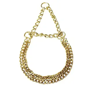 RvPaws Heavy Duty Chrome Metal 2 Layer Dog Choke Chain - 24 Inch Collar, 1 Piece
