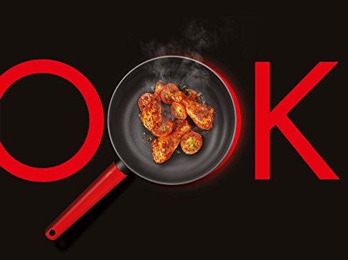 Woll 524JCA Just Cook Gusspfanne für Induktion mit festem Stiel, Durchmesser 24 cm, 5 cm hoch, grau - 3