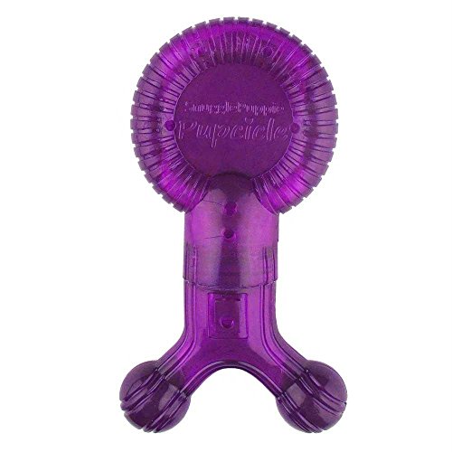 Pupcicle Dog Teething Toy Color: Purple by Smart Pet Love