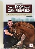 Image de Vom WILDpferd zum Reitpferd: Meine Begegnung mit einem Mustang