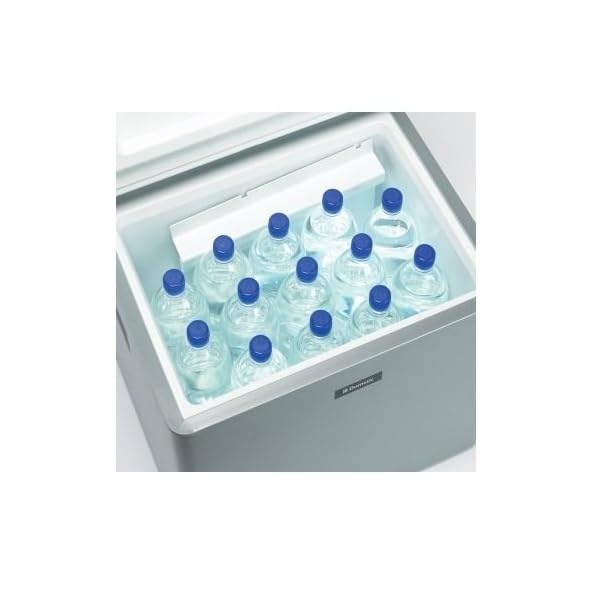 dometic rc1200egp gas portable cooler