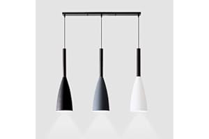 ZTWLEED Lampadario a Sospensione Moderno,Lampadario Moderno con Cavo Regolabile,Lampada a sospensione a soffitto E27,3 Teste Lampadario Moderno per Cucina,Corridoio, Porta(Lampadina Non Inclusa)