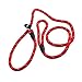 Produktbild Westeng Hundeleine, Nylon, Trainingsleine, verstellbare Schlaufe, 1,2 m, rot