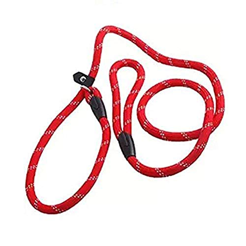 Preisvergleich Produktbild Westeng Hundeleine, Nylon, Trainingsleine, verstellbare Schlaufe, 1,2 m, rot