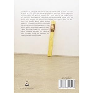 Arte kritika eta flamingoak zeru berdean (2009 - 2015)