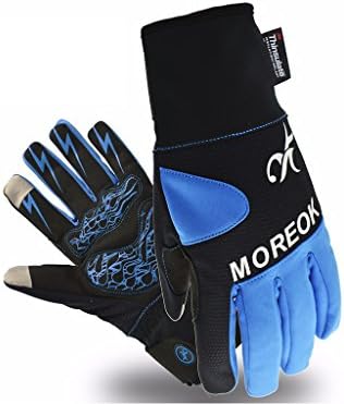 Touch Screen Gloves Men | Women | Unisex Water proof ski gloves | 3M Thinsulate Winter Gloves (Large, Blue)