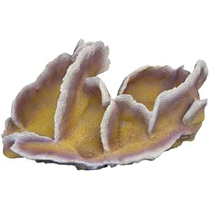 Haquoss POCILLOPORA 4, 28.5x 17.5x 13h cm