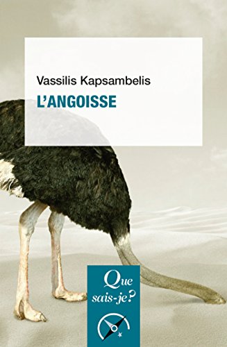 L'angoisse: « Que sais-je ? » n° 3763