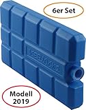 Ensemble de 6 Blocs De Glace Congélateur Pack Refroidissement Sac Glacière pour Voyage Camping Pique-Nique