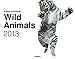Wild Animals 2013 by