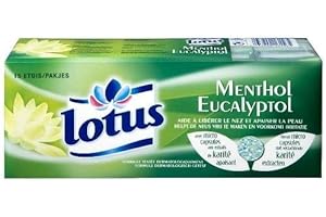 GÉNÉRIQUE LOTUS - Lotus 15 Étuis De Mouchoirs Menthol - Lot De 4