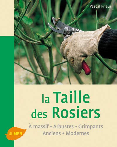 La taille des rosiers La taille des rosiers