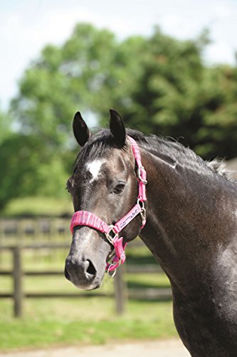 Cottage-Craft-Candy-Stripe-Head-Collar