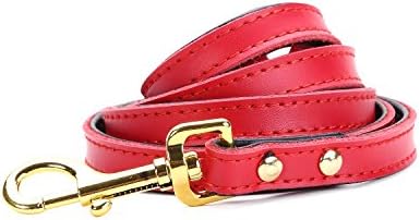 Petween Basic Classic Leather Pet Leads Leashes for Cats Puppy Small Medium Dogs
