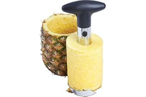 FGNUAY DÉBiteur d'Ananas - Easy Slicer,Outils de Cuisine, Trancheuse À Ananas/en Acier Inoxydable/Super Rapide et Facile À Gagner du Temps/Facile À Nettoyer (Noir)