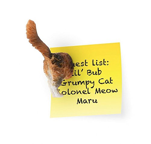 Kikkerland Cat Butt Magnete - 7