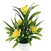 Produktbild BeneU Künstliche Pflanzen 5 kleine Lotusblumen Dekorative Bonsai simulierten Anlage Dekorative Bonsai Kunststoff Blumen für Home küche Garten Badezimmer Fensterbank Ornament Grün Dekoration