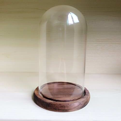 Amazon.co.uk glass dome display case