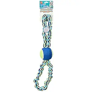 SPOT Colorful Rope Bungee Dog Toy 23