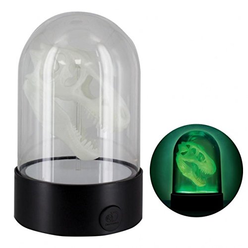 Preisvergleich Produktbild trendaffe Discovery Channel T-Rex Schädel Dekolampe - Discovery Channel Tyrannosaurus Rex Dekoleuchte Dekolicht