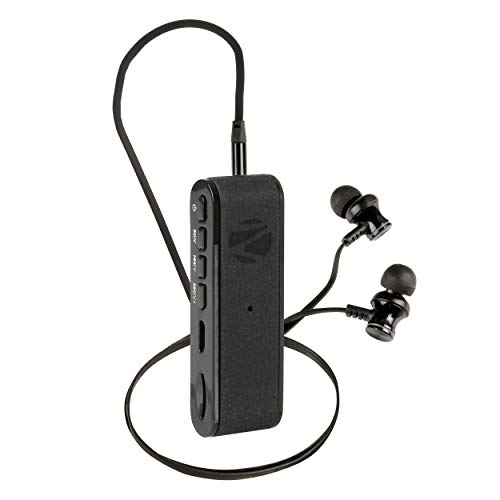 Buy Zebronics Faith Portable Bluetooth 