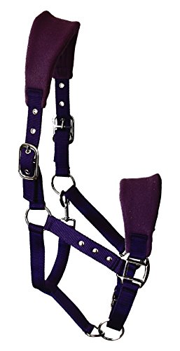 JF Reitsport AHA-05-06-01 Licou de cheval Pourpre Shetland