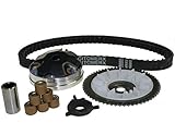 Variomatik-Set passend und abgestimmt für 50ccm 4-Takt Rex Roller (RS 400, 450, 460 und 500)