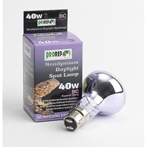 ProRep Tageslicht-Spot, BC, Neodym, 40W