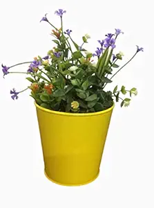TNZ Creations, Metal Plant Pot Ideal for Indoor uses. Looks Beautiful. Plants and flowers are just for display not including with the pot. Go through the sizes before buying. All sizes are in inches kindly check the sizes weather suits your requirement, kindly do not return for size issues. Size. 4.5x4.5x4.1 inches ( LxWxH) Colour Yellow. ( 2 Pieces in a Box)